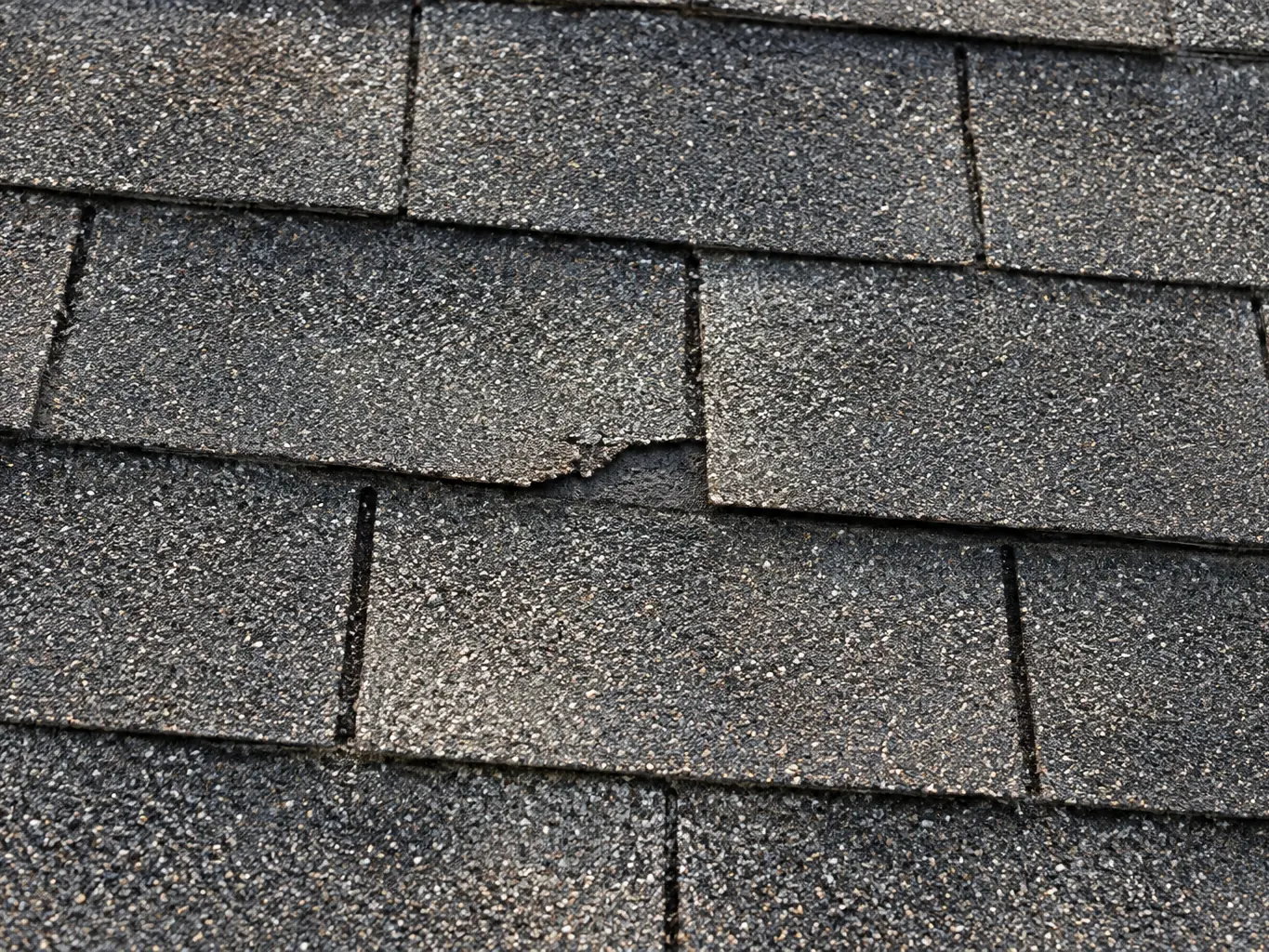 Asphalt shingle with a torn tab edge